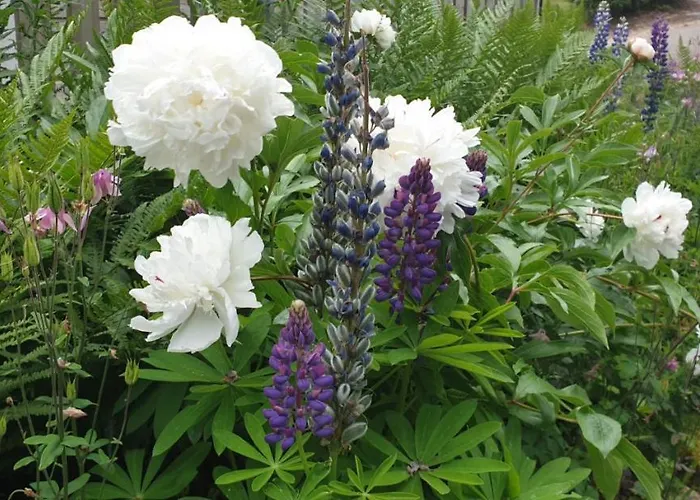 Motell Les De La Margeride Blavignac